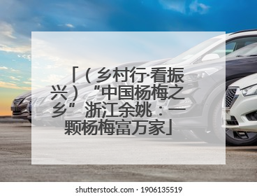 （乡村行·看振兴）“中国杨梅之乡”浙江余姚：一颗杨梅富万家
