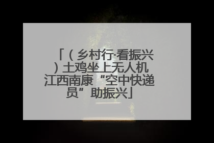 （乡村行·看振兴）土鸡坐上无人机 江西南康“空中快递员”助振兴