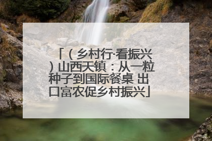 （乡村行·看振兴）山西天镇：从一粒种子到国际餐桌 出口富农促乡村振兴