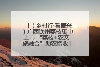 （乡村行·看振兴）广西钦州荔枝集中上市 “荔枝+农文旅融合”助农增收