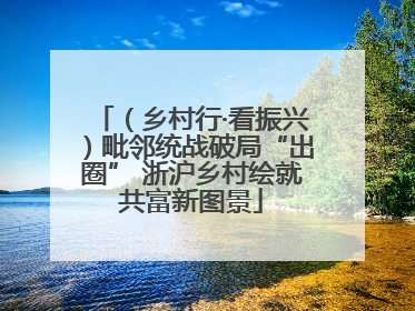 （乡村行·看振兴）毗邻统战破局“出圈” 浙沪乡村绘就共富新图景