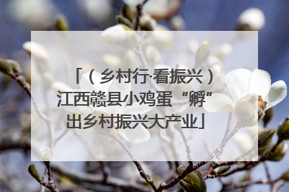 （乡村行·看振兴）江西赣县小鸡蛋“孵”出乡村振兴大产业