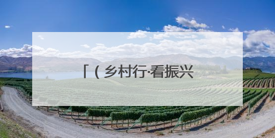 （乡村行·看振兴）江西靖安“小”浆果助绘乡村振兴“莓”好“蓝”图