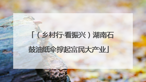 （乡村行·看振兴）湖南石鼓油纸伞撑起富民大产业