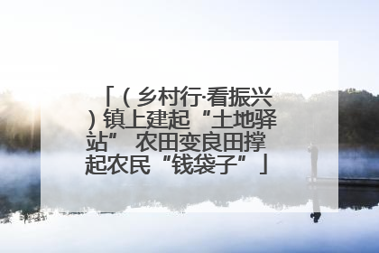 （乡村行·看振兴）镇上建起“土地驿站” 农田变良田撑起农民“钱袋子”