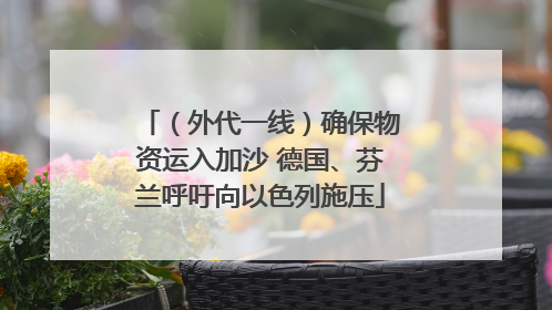 （外代一线）确保物资运入加沙 德国、芬兰呼吁向以色列施压
