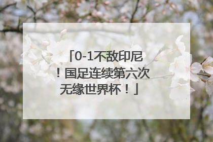0-1不敌印尼！国足连续第六次无缘世界杯！