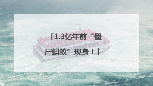 1.3亿年前“僵尸蚂蚁”现身！