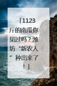 1123斤的南瓜你见过吗？潍坊“新农人”种出来了！