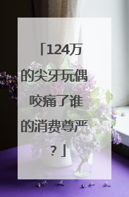 124万的尖牙玩偶 咬痛了谁的消费尊严？