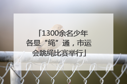 1300余名少年各显“绳”通，市运会跳绳比赛举行