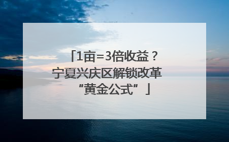 1亩=3倍收益？宁夏兴庆区解锁改革“黄金公式”