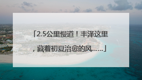 2.5公里慢道！丰泽这里，藏着初夏治愈的风……