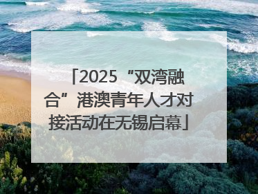 2025“双湾融合”港澳青年人才对接活动在无锡启幕