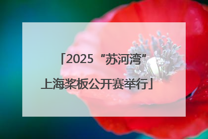 2025“苏河湾”上海桨板公开赛举行