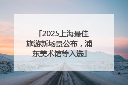 2025上海最佳旅游新场景公布，浦东美术馆等入选