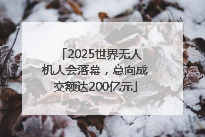 2025世界无人机大会落幕，意向成交额达200亿元