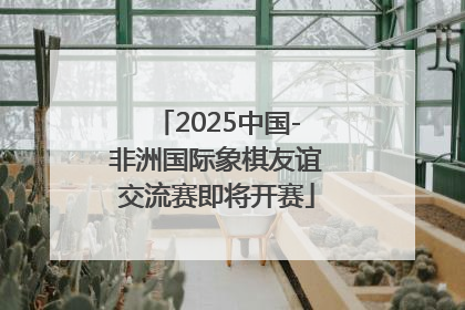 2025中国-非洲国际象棋友谊交流赛即将开赛