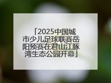 2025中国城市少儿足球联赛岳阳预赛在君山江豚湾生态公园开幕