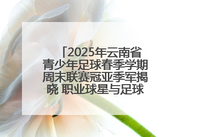 2025年云南省青少年足球春季学期周末联赛冠亚季军揭晓 职业球星与足球小将共享荣耀时刻