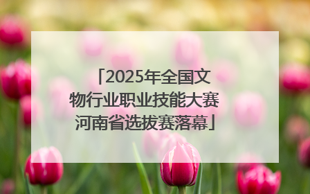 2025年全国文物行业职业技能大赛河南省选拔赛落幕
