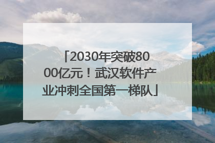 2030年突破8000亿元！武汉软件产业冲刺全国第一梯队
