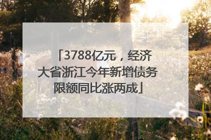 3788亿元，经济大省浙江今年新增债务限额同比涨两成