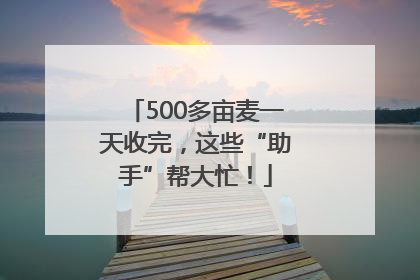 500多亩麦一天收完，这些“助手”帮大忙！