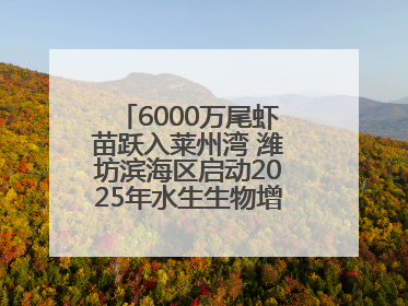 6000万尾虾苗跃入莱州湾 潍坊滨海区启动2025年水生生物增殖放流工作