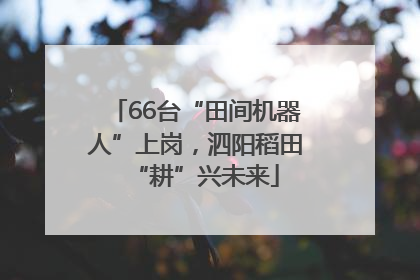 66台“田间机器人”上岗，泗阳稻田“耕”兴未来