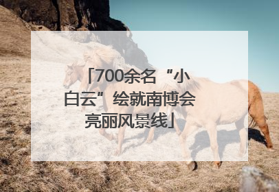 700余名“小白云”绘就南博会亮丽风景线