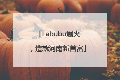 Labubu爆火，造就河南新首富